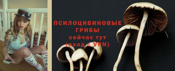 кокаин Медногорск