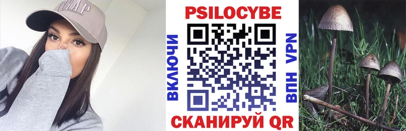 Псилоцибиновые грибы Cubensis  где можно купить наркотик  Макаров 